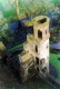 Sample image from gallery